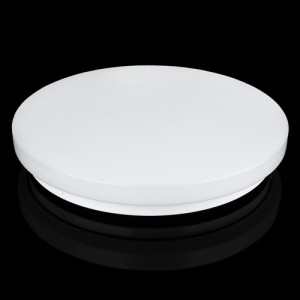 Світильник світлодіодний Biom SMART DEL-R08-24 4500K 24Вт без д/у