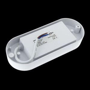 Світильник світлодіодний ЖКХ Biom MPL-О9-6 9Вт 6000К, овал