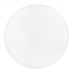 Світильник світлодіодний Biom DL-R102-30-5 5000K 30Вт без д/у