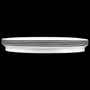 Світильник світлодіодний Biom DEL-R04-24 4500K 24Вт без д/у