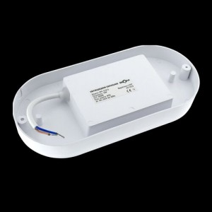 Світильник світлодіодний ЖКХ Biom MPL-О18-6 18Вт 6000К, овал