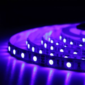 Світлодіодна стрічка BIOM Professional BPS-G3-12-5050-60-RGB-20, негерметична, 1м