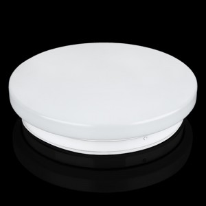 Світильник світлодіодний Biom DEL-R20-18-4-DIY 4500K 18Вт без д/у