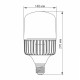 LED лампа VIDEX A145 100W E40 5000K