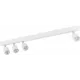 Спот з чотирма лампами TK Lighting TOP WHITE 6317