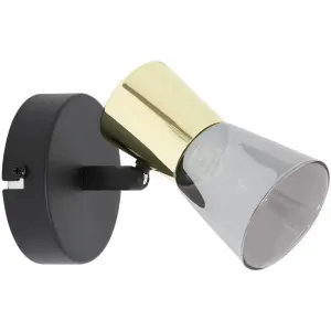 Бра спрямованого світла Zuma Line CENTO CK220532-1BG