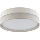Стельовий світильник TK Lighting ECO 5774