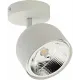 Точковий накладний світильник TK Lighting ALTEA WHITE 6512