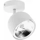 Точковий накладний світильник TK Lighting ALTEA WHITE 6512