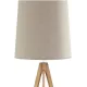 Торшер зі столиком TK Lighting WALZ NATURE 5598