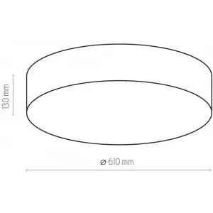 Стельовий світильник TK LIGHTING 4433
