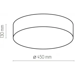 Стельовий світильник TK LIGHTING 4430