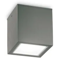 Стельовий вуличний світильник Ideal Lux TECHO 251516 Стельовий вуличний світильник Ideal Lux TECHO 251516