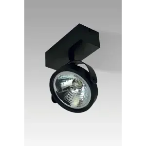 Бра спрямованого світла Zuma Line 50484-G9 Go SL 1