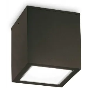 Стельовий вуличний світильник Ideal Lux TECHO 251530