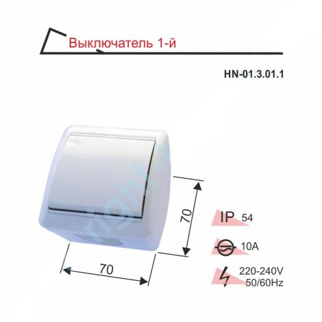 Выключатель IP54 RIGHT HAUSEN BERTA одинарный наружный HN-01.3.01.1 белый