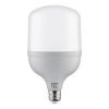 Светодиодная лампа HOROZ Electric TORCH-50 4200K 50W E27