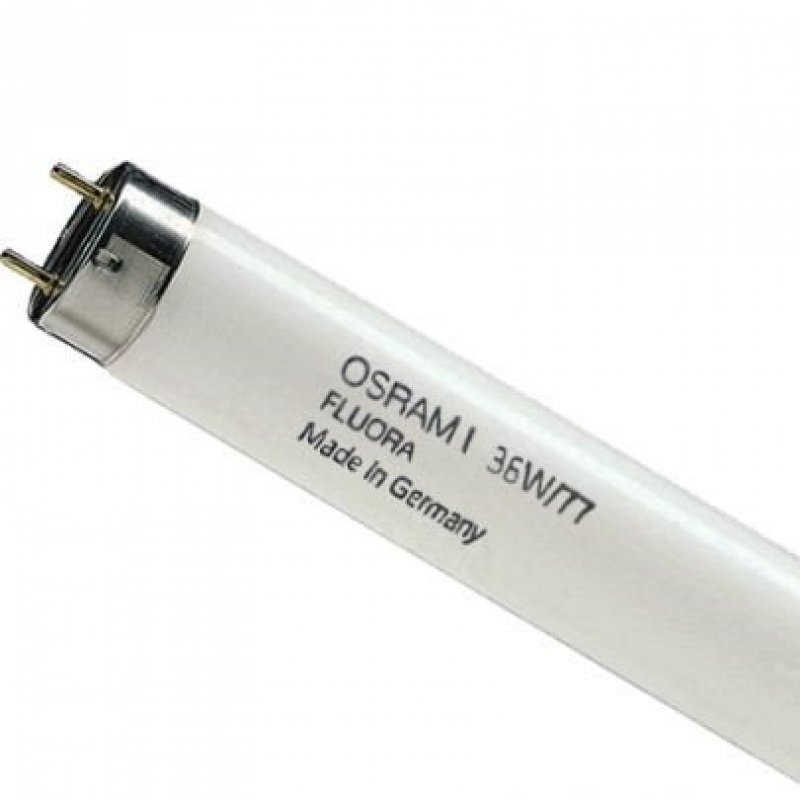 Люминесцентная лампа OSRAM T8 FLUORA L36W/77 G13